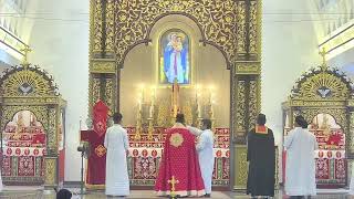 St. Mary's Soonoro Church, Elamkulam- Holy Qurbana  -Live Stream 03/05/2026