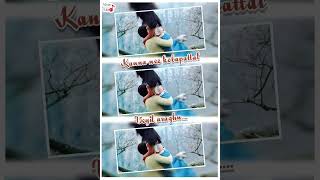 Sutrum Vizhi Sudarelove Tamil Whatsapp Status Song Downloadgajinisuryaasinmalar Editz