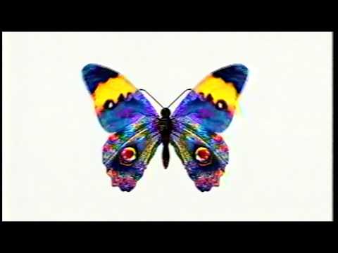 Eyewitness: Butterfly and Moth (1996) VHS