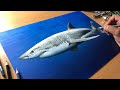 Great white shark drawing  timelapse  artology