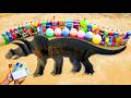 Making a Triceratops pit with Cement, Experiment iPhone 17 vs Coca-Cola, Fanta & Mentos
