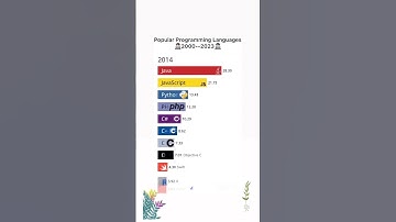 Popular programming language since 2000. #coding #language #shorts