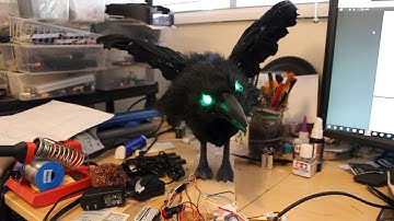 Raven Test Run