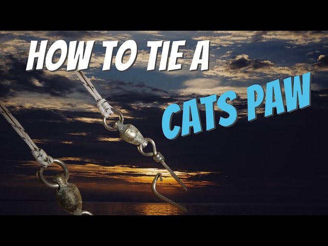 How to tie a Cats Paw knot. 