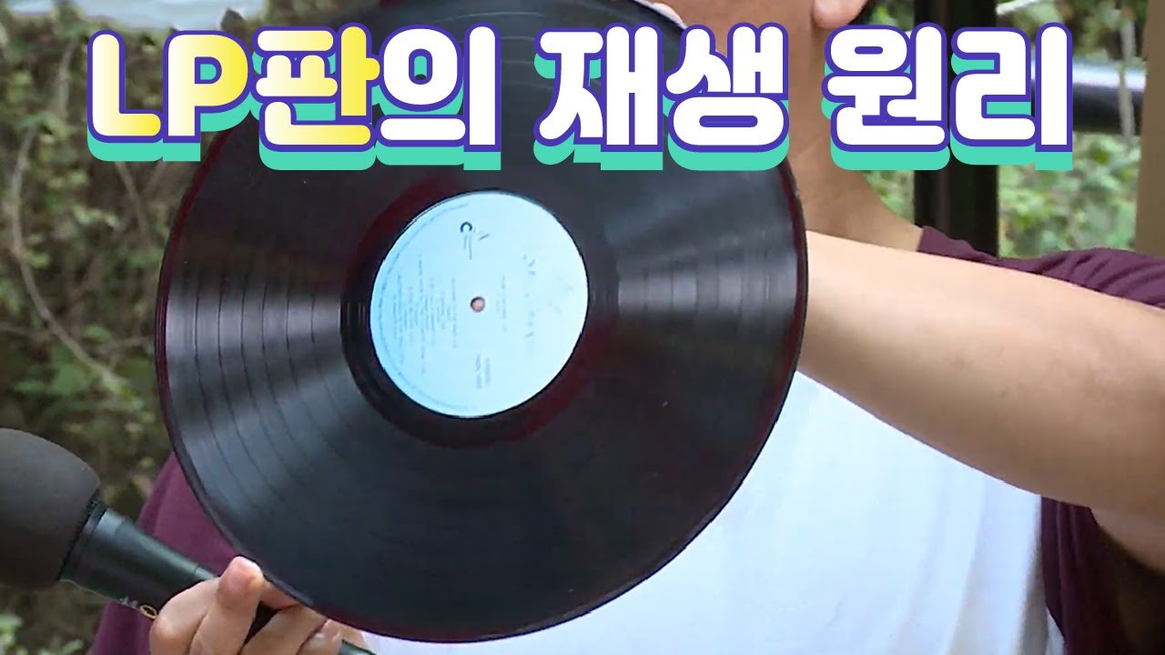 LP YTN YouTube lp-ytn-youtube