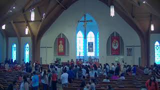 Domingo de Pentecostés Misa del día