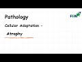 USMLE Pathology: Cellular Adaptation — Atrophy Explained!