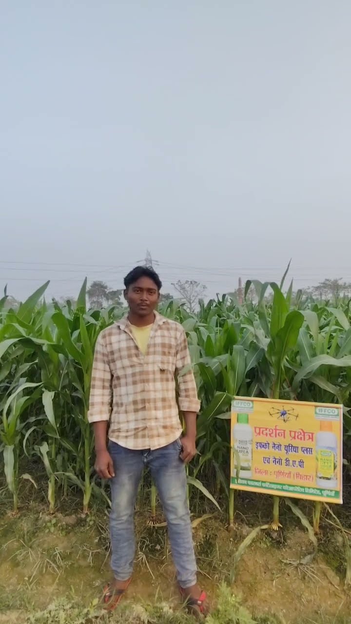 पूर्णिया के युवा किसान ने मक्का की खेती के लिए दी कैसी टिप्स | वनइंडिया हिंदी