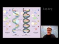 Nucleic Acids and Their Role in Protein Synthesis