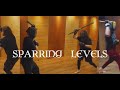 Sparring levels for irish stick fighting