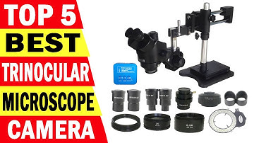 Best Stereo Microscope | Top 5 Best Trinocular Microscope Review 2023