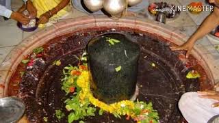 சிவதரிசனம் மெய்சிலிர்க்கும்  பாடலுடன் ஓம் நமசிவய