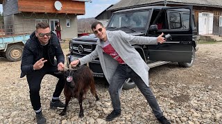 #231 Car vLog - VINDEM CAPRE DIN BRABUS G63 LA MUNTE