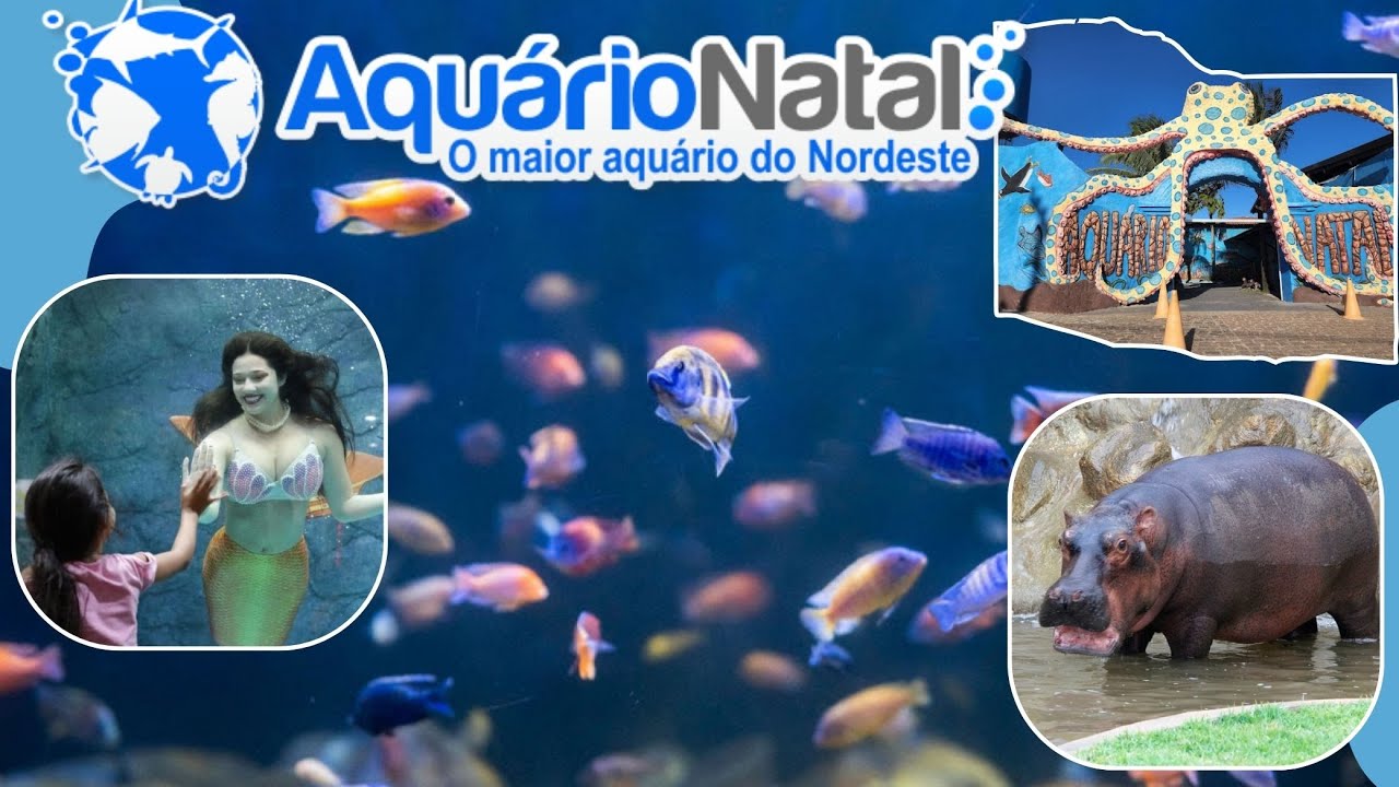 Aquário Natal - O maior Aquazoo do Nordeste | O que fazer em Natal, Rio ...
