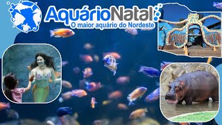 Natal Aquarium - The largest Aquazoo in the Northeast | What to do in Natal, Rio Grande do Norte