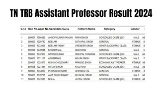 Tn Trb Istant Professor Result 2024 Cut Off Marks, Merit List