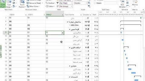 Outline Code usage in Microsoft Project