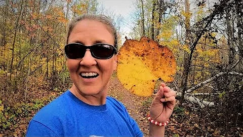 Fall Color Tour | Experience Autumn in Michigan, Come take a fall foliage ride with us