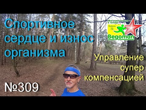 Спортивное сердце и износ организма (№309)