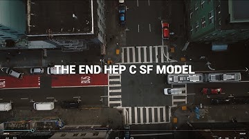 The End Hep C SF Model