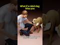 What if a rabid dog bites you#science #knowledge #shortvideo #shorts