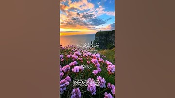 تلاوة رائعة من سورة الأنعام #القارئ_خالد_البلوشي#لايك #ترند #تيك_توك #دويتو #اكسبلور #الامارات #duet