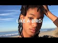 Like A Bird Willow Smith Lyrics mp3