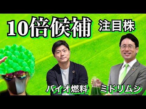 【ユーグレナ】10倍候補！注目株！バイオ燃料！