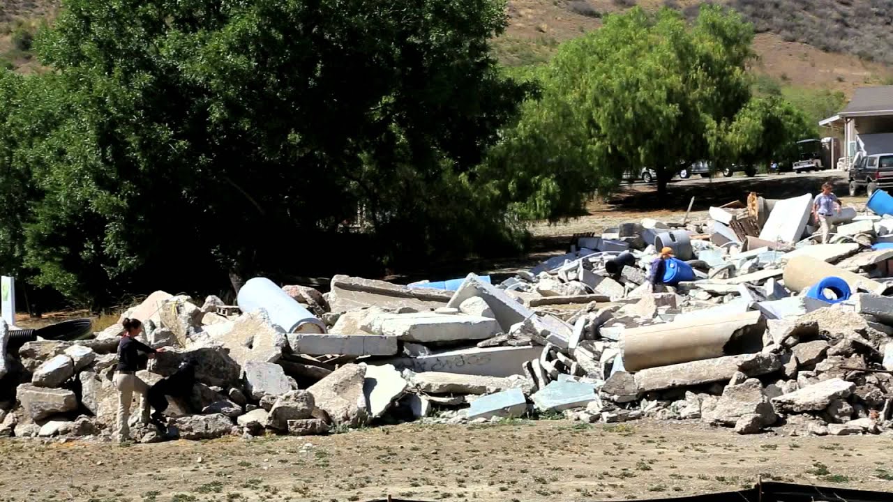 Canine Candidate Evaluation