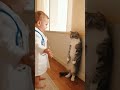 Doctor Ever Checks His Patient! 🥺🐈🩺