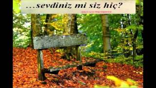Sevdinmi sen hiç