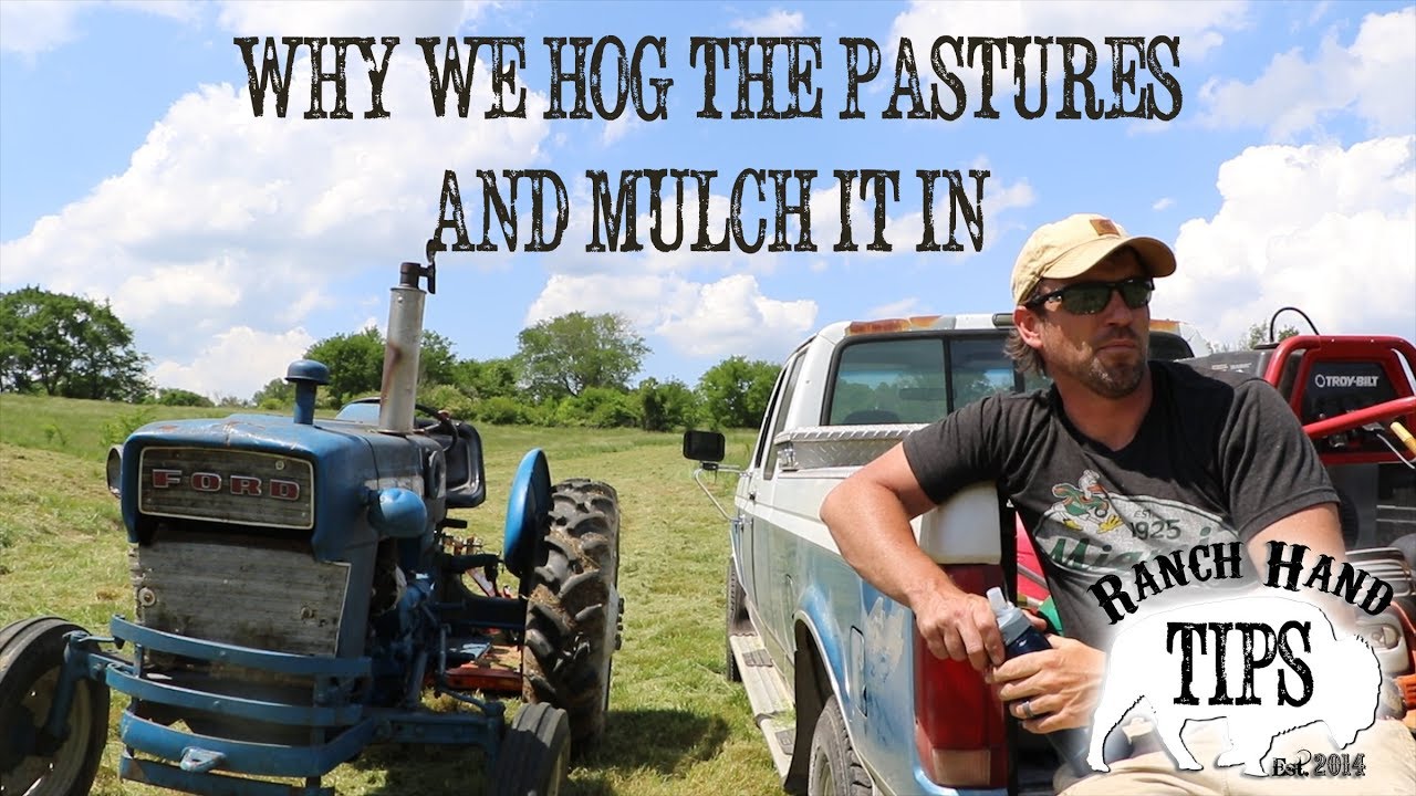 WHY WE BRUSH HOG THE PASTURE GRASS YouTube