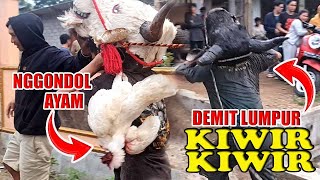 Bantengan KIWIR KIWIR KALAP MANDI LUMPUR & NGGONDOL AYAM