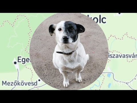 Лори проехала пол-Европы! Германия в снегу.  Минеральные ванны в Ессентуках на Крещение!