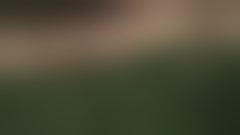 Command & Conquer Generals Zero Hour Redesigned Alert China Tanks Abilities Extended Auto Loader