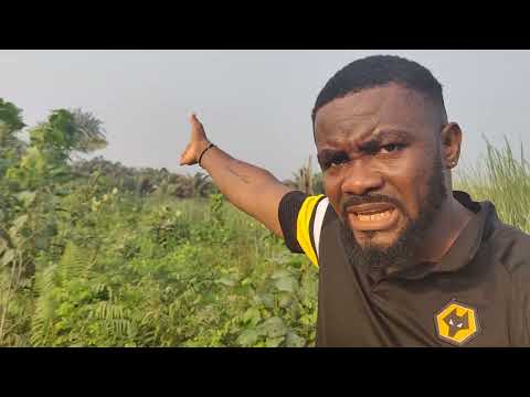 ovuvuevuevue enyetuenwuevue ugbemugbem osas seen at his father's property