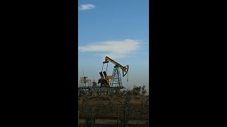 The UAE Quit OPEC Because Its Sovereign Wealth Now Dwarfs Oil