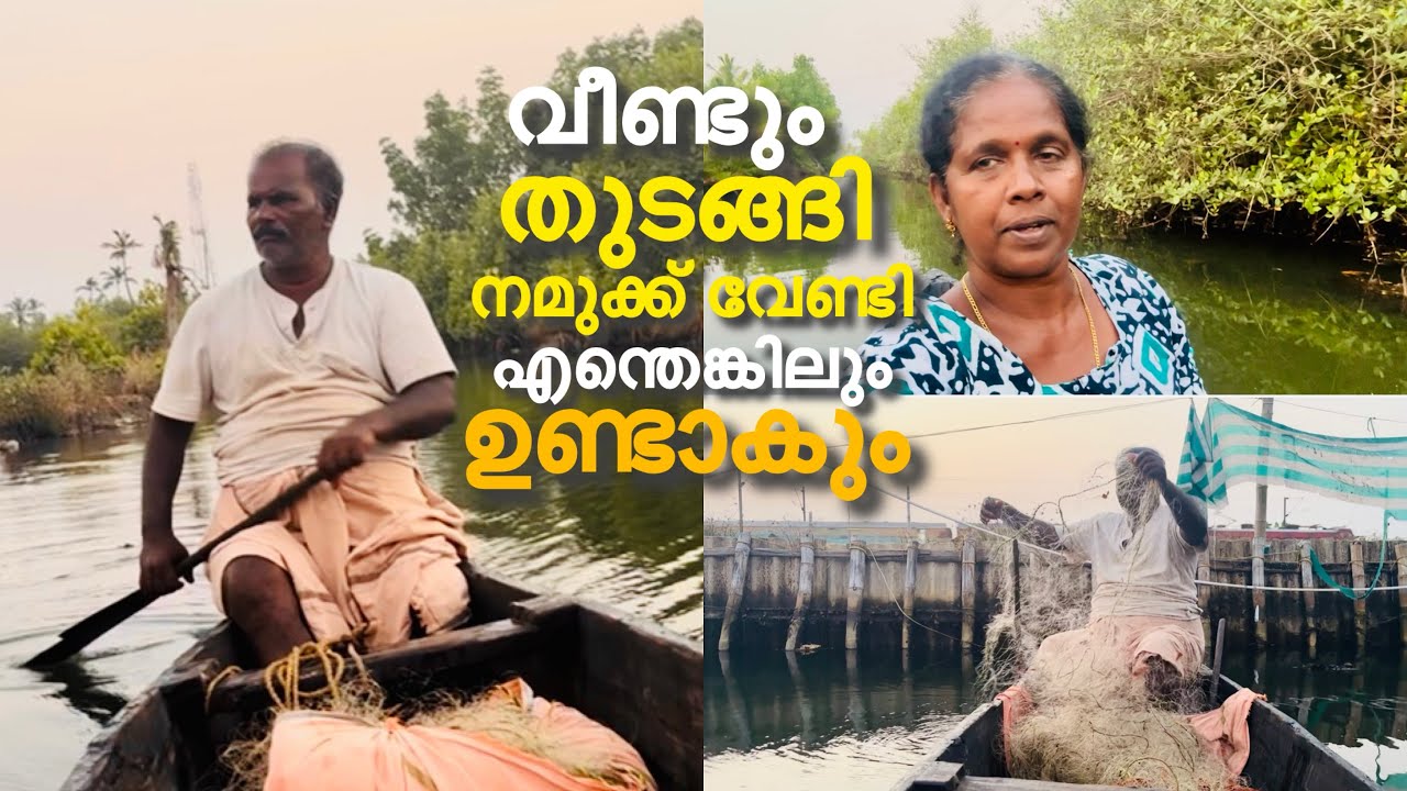 പുറത്ത് കൊടുക്കാൻ പറ്റിയില്ലേലും കറിക്കെങ്കിലും ആകും #food #petshub #cooking #rivercrab 