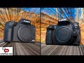 Canon 80D VS Canon M50! Does Being BIGGER Make it BETTER?!