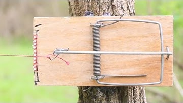 How to Make a Mousetrap Trip Wire Alarm | DIY