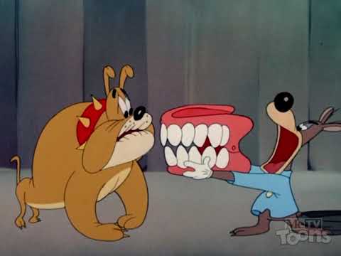 George and Junior - George and Junior dress up in a cat suit