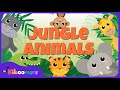 Let&#39;s Take a Trip to the Jungle with THE KIBOOMERS Jungle Animals Song!