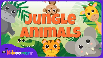 Let's Take a Trip to the Jungle with THE KIBOOMERS Jungle Animals Song!