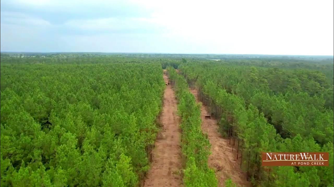 NatureWalk At Pond Creek Road Construction Progress July 2023 YouTube