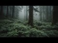 2 Hours Deep Forest Music for ADHD | Deep Focus &amp; Relaxation | Nature Sounds for Concentration 🌲🎧