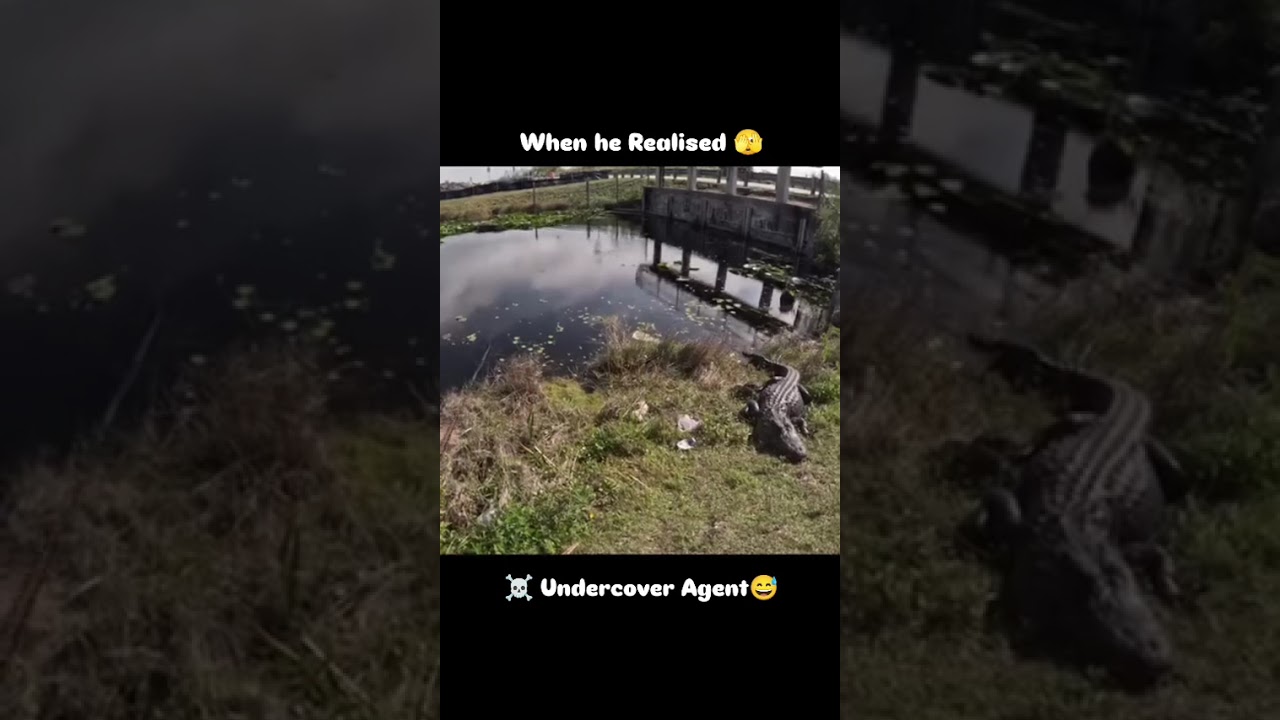 Death Experience ☠️🫣 Fishing