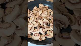 Solved - JRE and the Mysterious Portobello Conspiracy  🍄‍🟫 #jre #mushroom