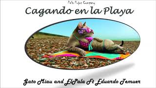Cagando en la Playa - Gato Miau and ElPala Ft Eduardo Temuer