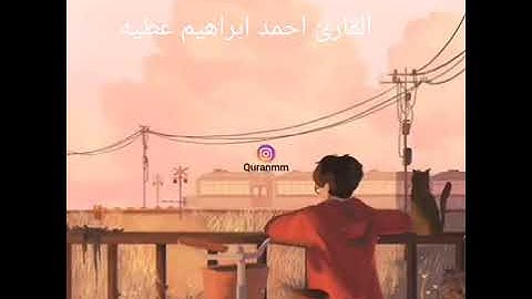 القارئ احمد ابراهيم عطيه