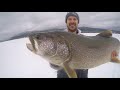 Back to Back MONSTER Lake Trout